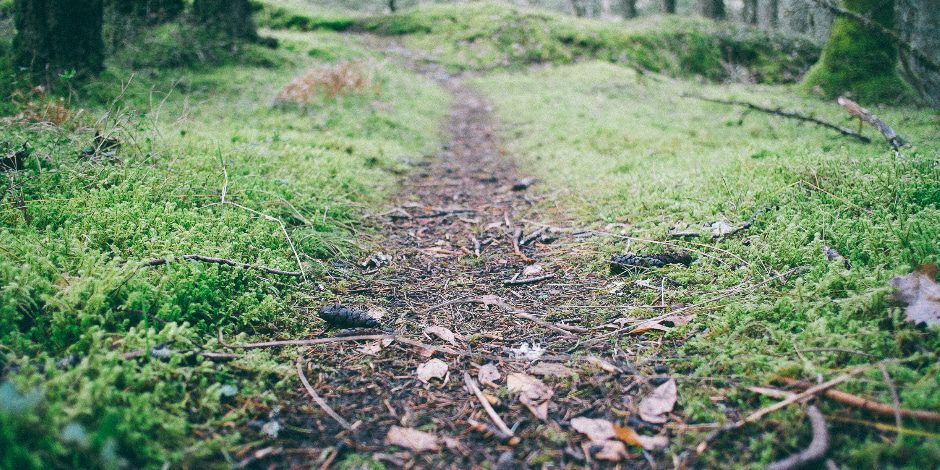 How Hiking Can Help You Overcome Addiction