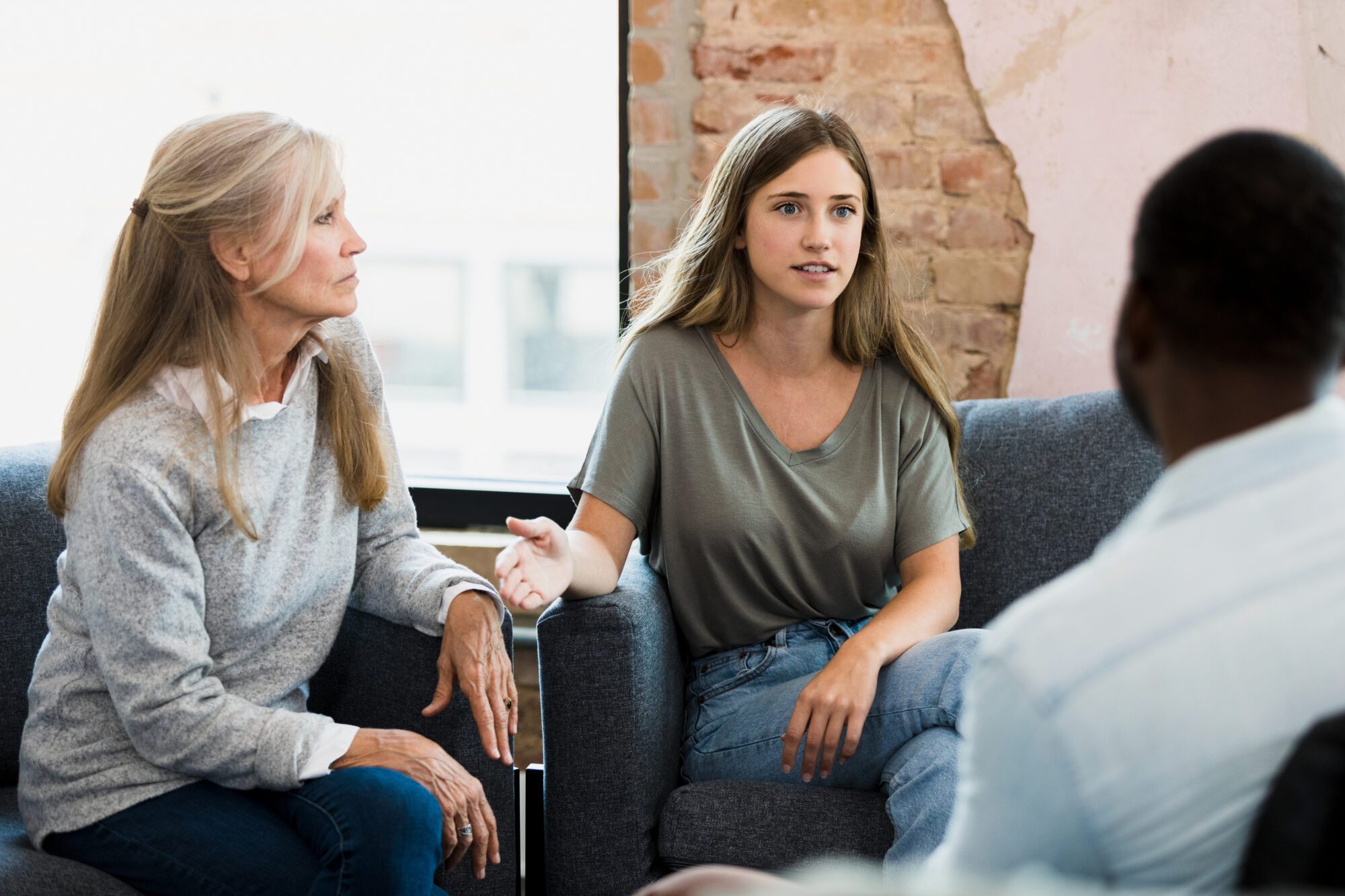 Structural vs Systematic Family Therapy | Steps Recovery